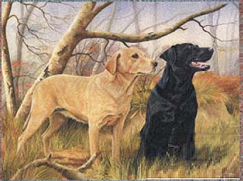 Black dog and yellow dog